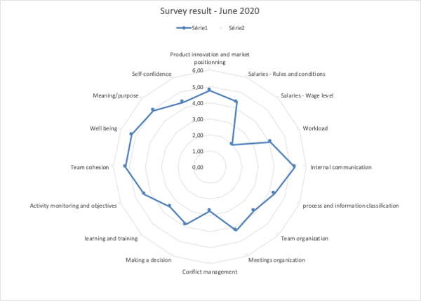Team and company survey
